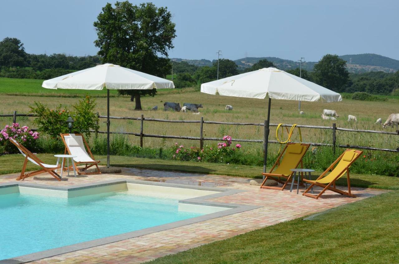Agriturismo La Ghiga Nepi Zewnętrze zdjęcie